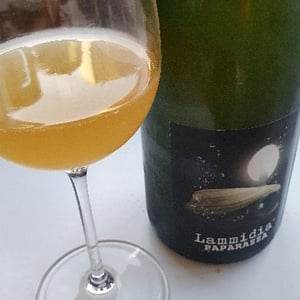 Lammidia - Marco Giuliani & Davide Gentile - Paparazza