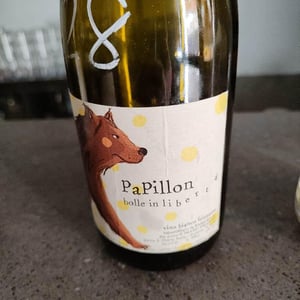 Papillon - Jacopo Stigliano - Jacopo Stigliano 