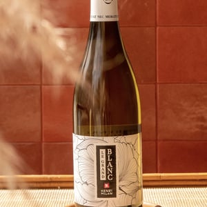 Papillon blanc - Domaine Milan - emma-theophile-henri-milan -2016