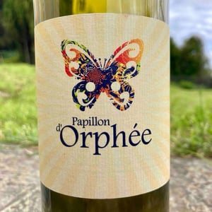 Papillon d'Orphée - Le Champ d'Orphée - Stéphane Lucas 