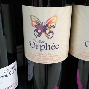Papillon d'Orphée - Le Champ d'Orphée - stephane-lucas