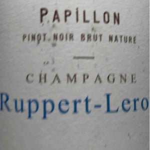 Papillon - Champagne Ruppert-Leroy - emmanuel-ruppert-benedicte-leroy