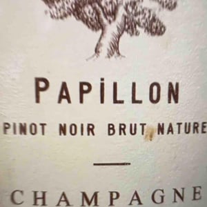 Papillon - Champagne Ruppert-Leroy - Emmanuel Ruppert & Bénédicte Leroy 