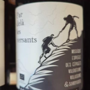 Par Delà Les Versants - Domaine Saint Germain - raphael-saint-germain