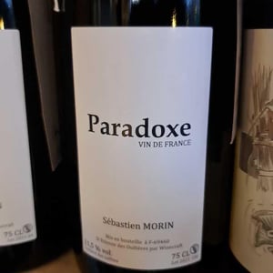 Paradoxe - Maï Lam et Sébastien Morin - mai-lam-et-sebastien-morin