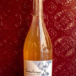 Paradoxe - Domaine Du Pech Del Cel - laure-et-gregory-aurel -2022