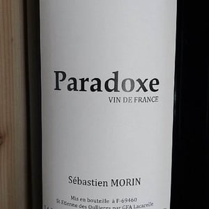 Paradoxe - Maï Lam et Sébastien Morin - mai-lam-et-sebastien-morin