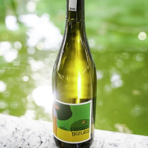 Paraiso Natural - Paraiso Natural - Leli & Miguel Viseu -2018