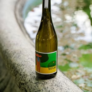 Paraiso Natural - Paraiso Natural - leli-miguel-viseu -2018