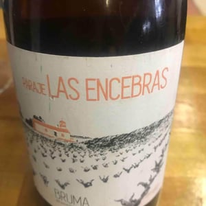Paraje Las Encebras - Elena pacheco - bruma