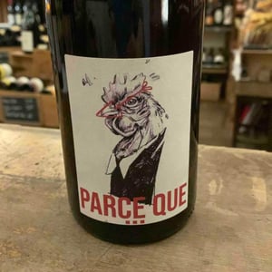 Parce que - Julien Pineau - julien-pineau