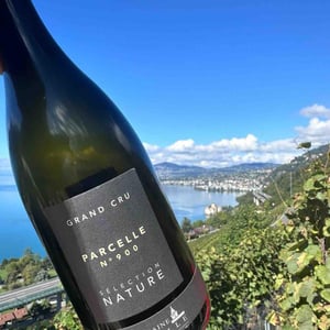 Parcelle 900 - Domaine de la Ville de Morges - Julien Pasche 