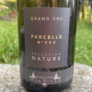 Parcelle 900 - Domaine de la Ville de Morges - Julien Pasche 