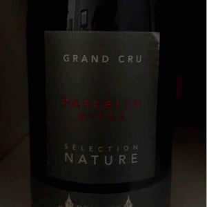 Parcelle 982 - Domaine de la Ville de Morges - Julien Pasche 