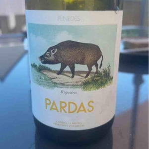 Rupestris - Celler Pardas - ramon-parera-jordi-arnan