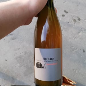 Parenthèse Macération - Domaine Riberach - guilhem-soulignac-j-m-mailloles-patrick-rodrigues-luc-richard