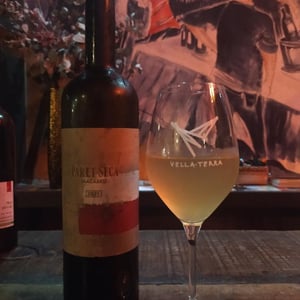 Paret Seca Macabeu 2021 - Paret Seca Vins - Ivà Gallego Santacana