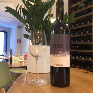 Manto Negro - Paret Seca Vins - iva-gallego-santacana -2021