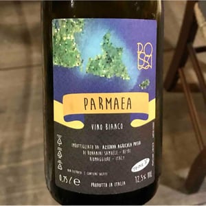 Parmaea - Az. Agr. Possa - heydi-samuele-bonanini