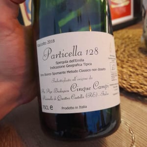Cinque Campi - Vanni Nizzoli - Particella 128