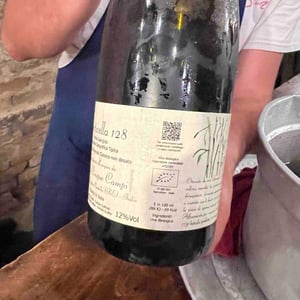 Particella 128 - Cinque Campi - Vanni Nizzoli 