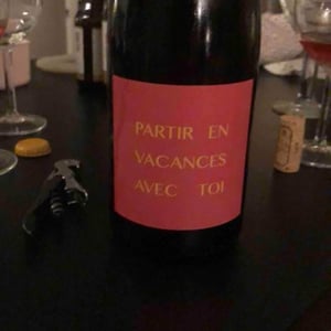 Partir En Vacances Avec Toi - Clos des Grillons - Nicolas Renaud 