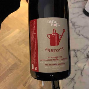 Partout - Ratapoil - estelle-raphael-monnier