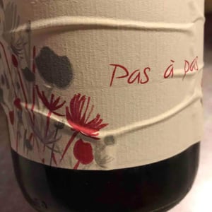 Pas à Pas 2014