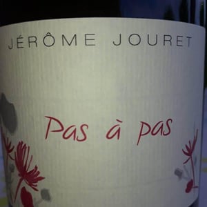 Jérome Jouret - Jérôme Jouret - Pas à Pas