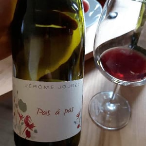Jérome Jouret - Jérôme Jouret - Pas à Pas