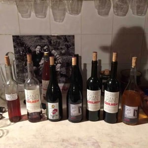 Domaine Grand Guilhem - Séverine et Gilles Contrepois - Pas Pareil