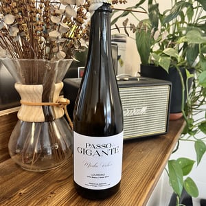 Passo gigante - Minho, Vinho Verde - rui-oliveira-e-joao-pires-no-minho -2023