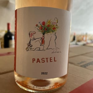 Pastel - la Réaltière - pierre-sylvia-michelland