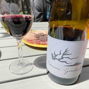 Patrimonio - Domaine Giudicelli - Muriel Giudicelli 