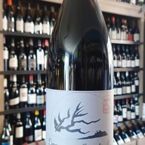 Patrimonio - Domaine Giudicelli - muriel-giudicelli
