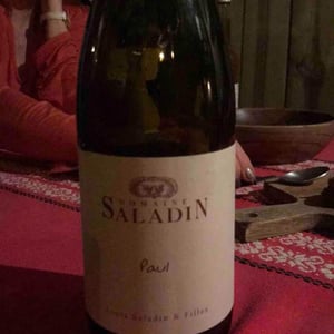 Paul - Domaine Saladin - elisabeth-marie-laurence-saladin