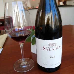 Domaine Saladin - Elisabeth & Marie-Laurence Saladin - Paul