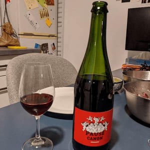 Le Raisin et l'Ange - Gilles & Antonin Azzoni - Pause Canon (rouge)