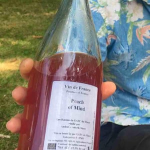 Peach of Mind - Anders Frederik Steen & Anne Bruun Blauert - anders-frederik-steen-anne-bruun-blauert