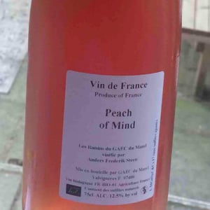 Peach of Mind - Anders Frederik Steen & Anne Bruun Blauert - anders-frederik-steen-anne-bruun-blauert
