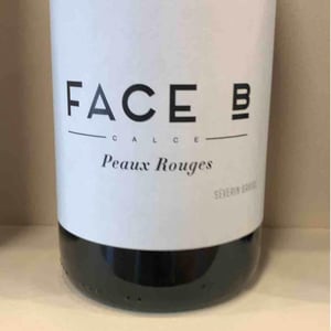 Peaux Rouges - Face B - severin-barioz-mathilde-barioz-ceccon