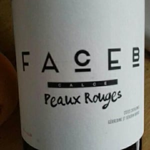 Face B - Séverin Barioz & Mathilde Barioz - Ceccon - Peaux Rouges