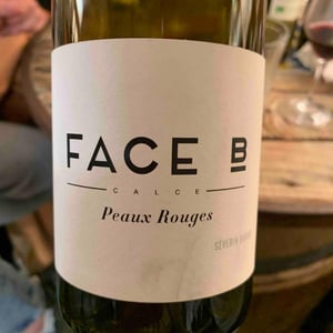 Face B - Séverin Barioz & Mathilde Barioz - Ceccon - Peaux Rouges