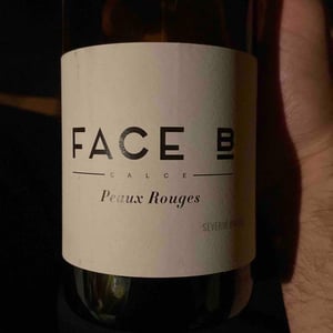 Peaux Rouges - Face B - Séverin Barioz & Mathilde Barioz - Ceccon 