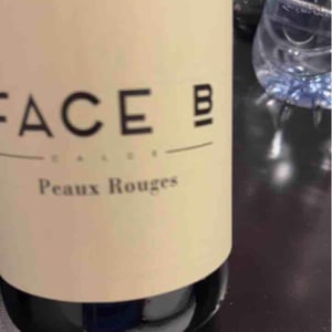 Peaux Rouges - Face B - Séverin Barioz & Mathilde Barioz - Ceccon 