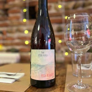 Pech De Rozies - Domaine Balansa - celine-peyre-alex-gressent