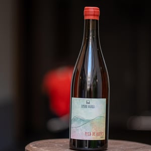 Pech De Rozies - Domaine Balansa - celine-peyre-alex-gressent