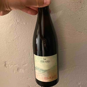 Pech De Rozies - Domaine Balansa - celine-peyre-alex-gressent