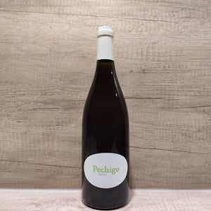 Pechigo Blanc - Domaine Sylvain Saux - domaine-sylvain-saux