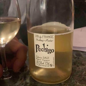 Pechigo Pétillant - Domaine Sylvain Saux - domaine-sylvain-saux